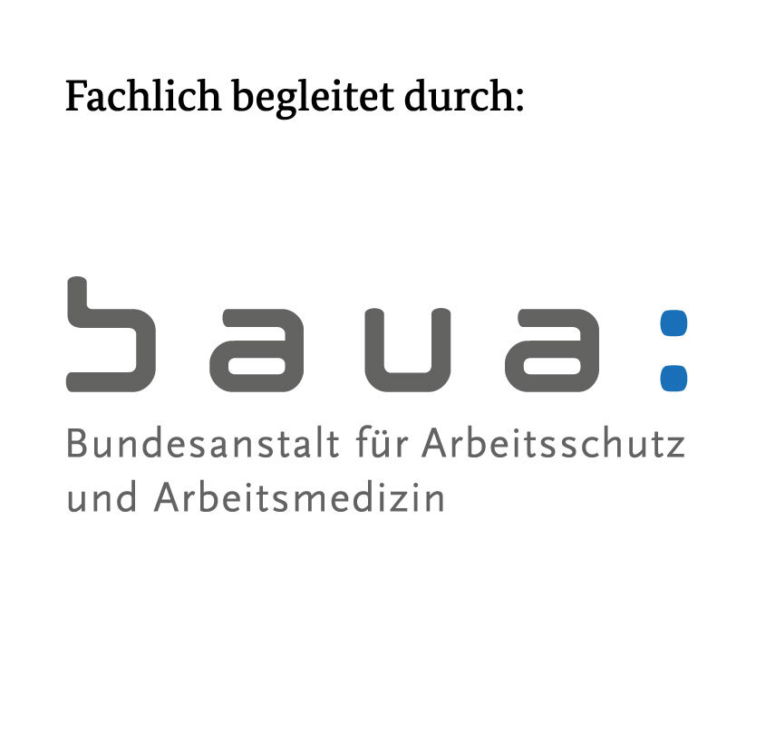 2 BMAS INQA BAUA DTP RGB