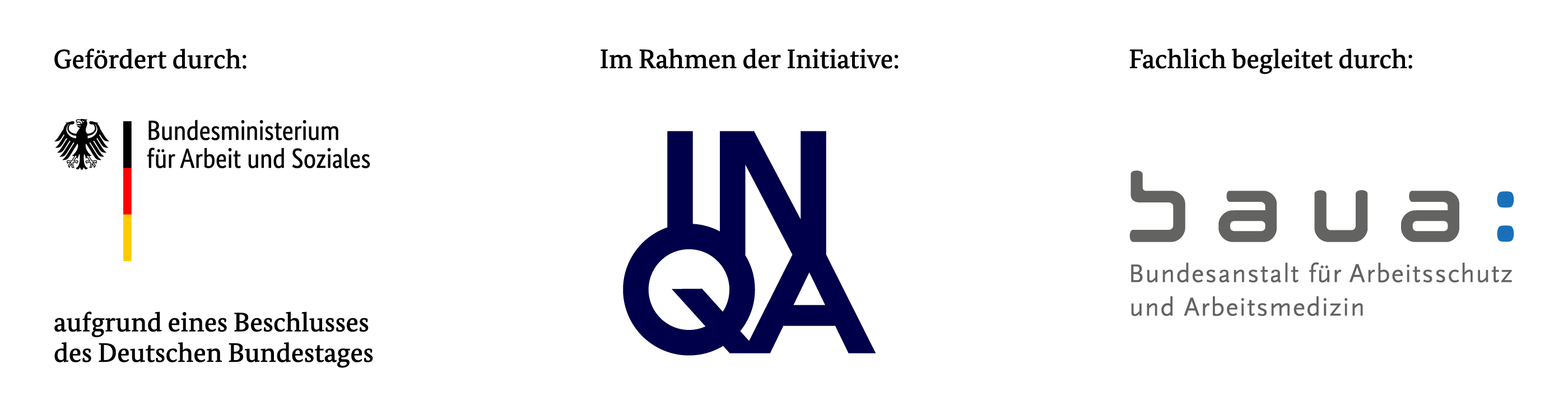 BMAS INQA BAUA DTP RGB